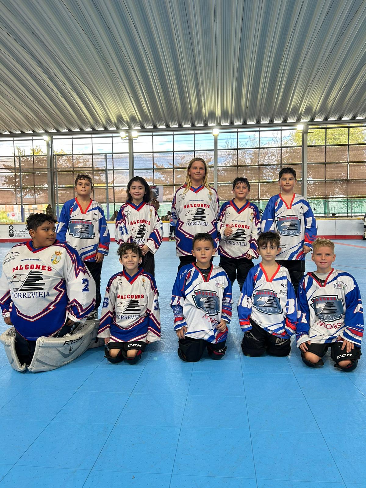 halcones1.jpeg