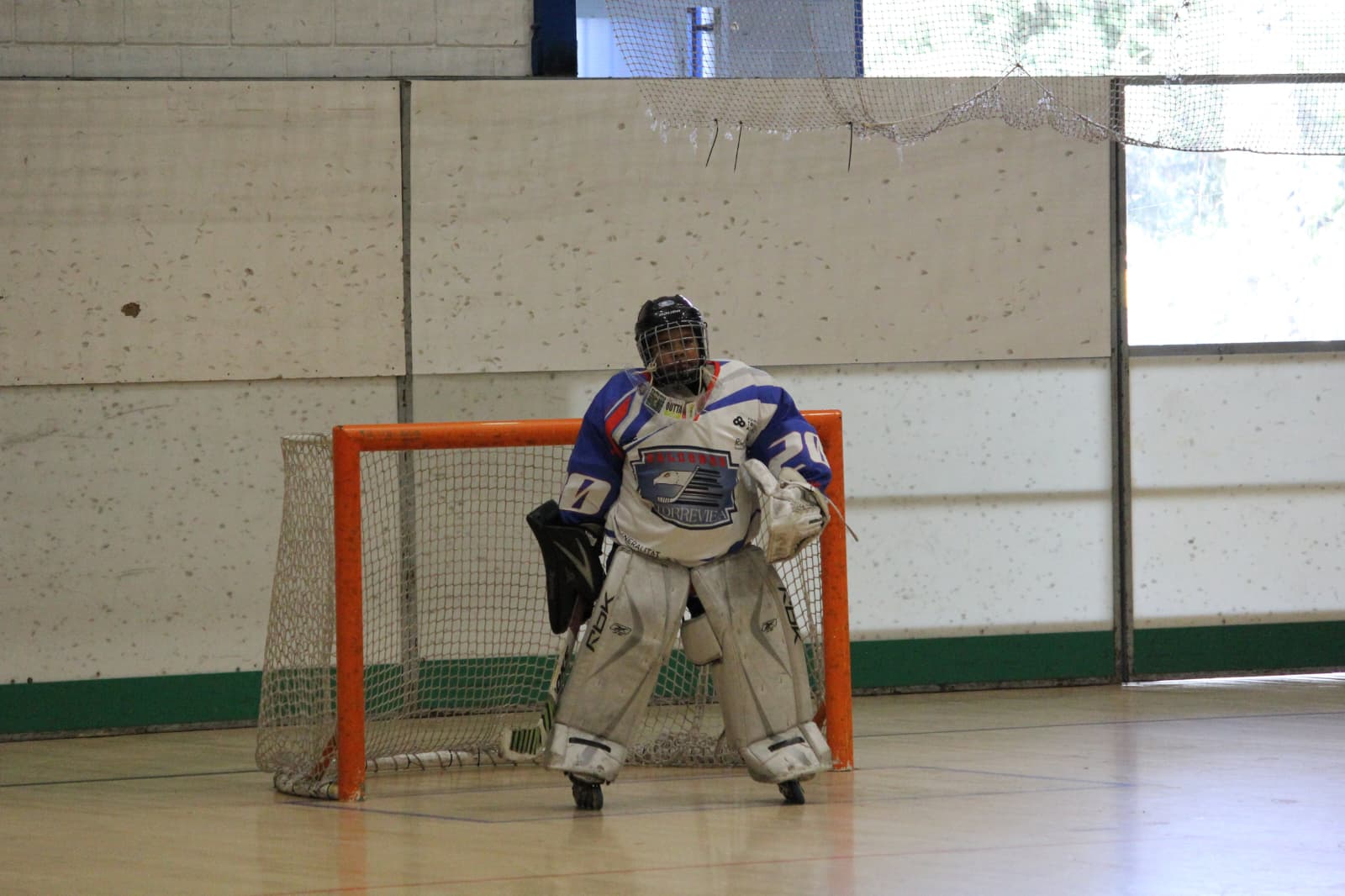 halcones12.jpeg