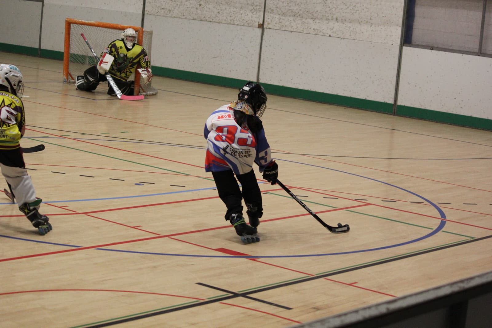 halcones13.jpeg