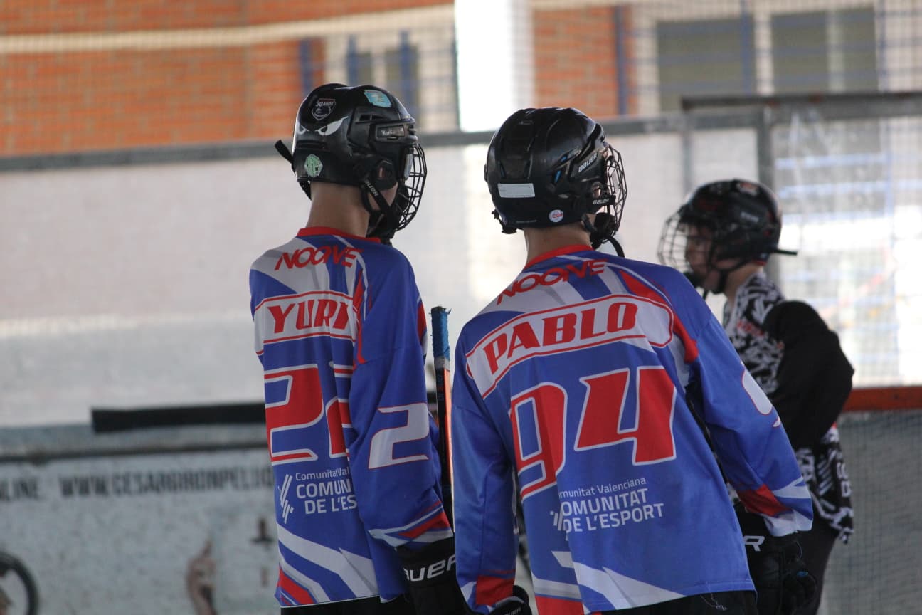 halcones2.jpeg