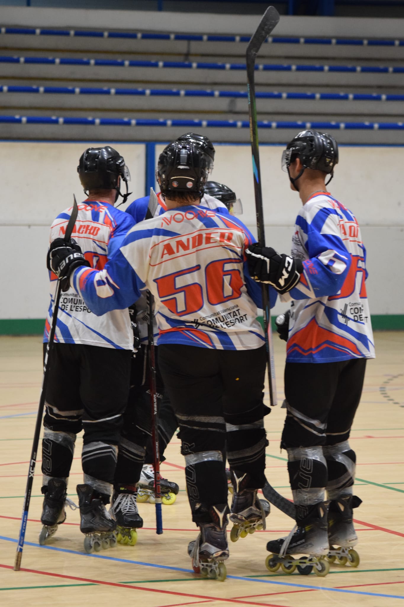 halcones21.jpeg