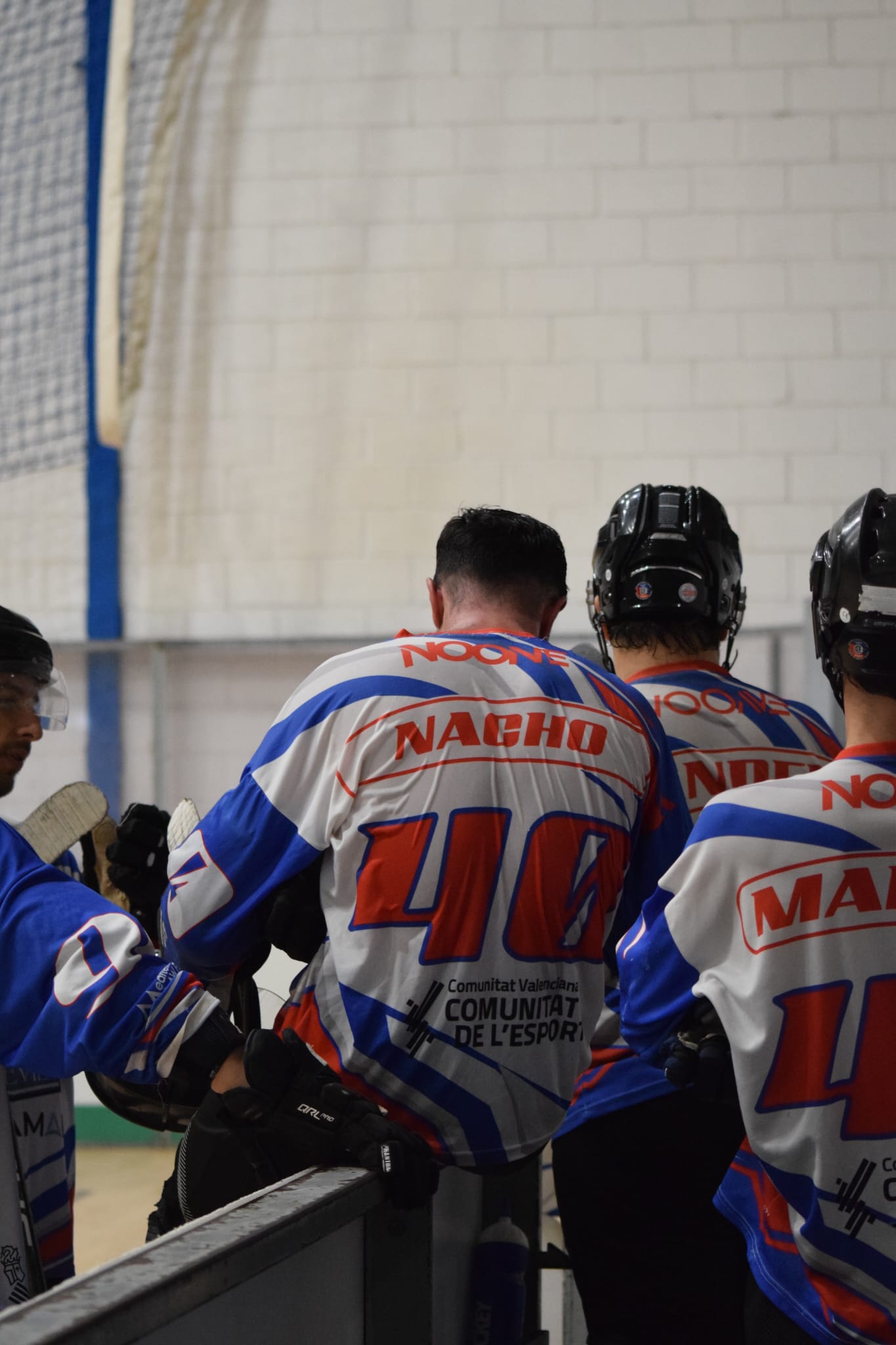 halcones22.jpeg