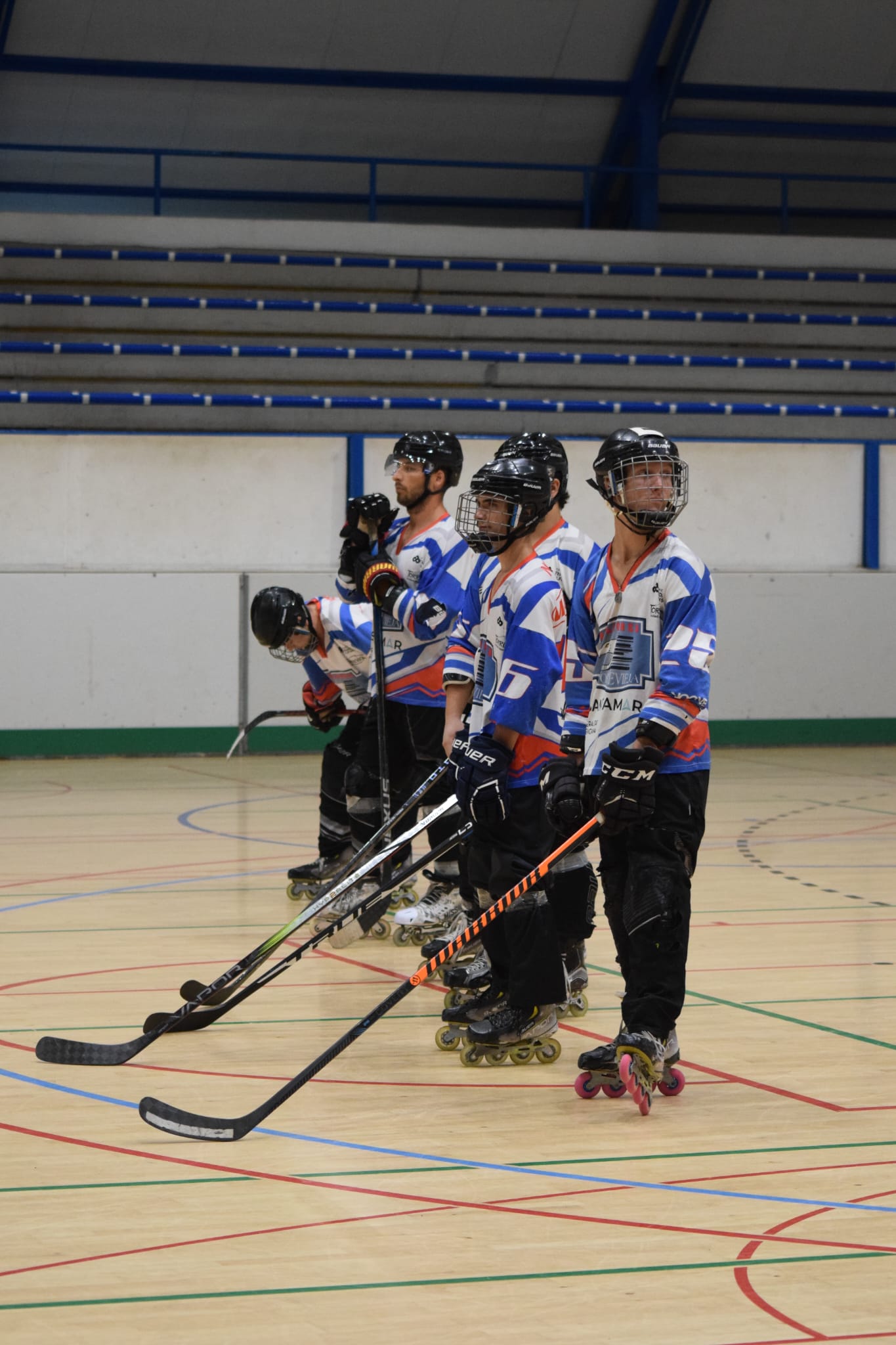 halcones23.jpeg