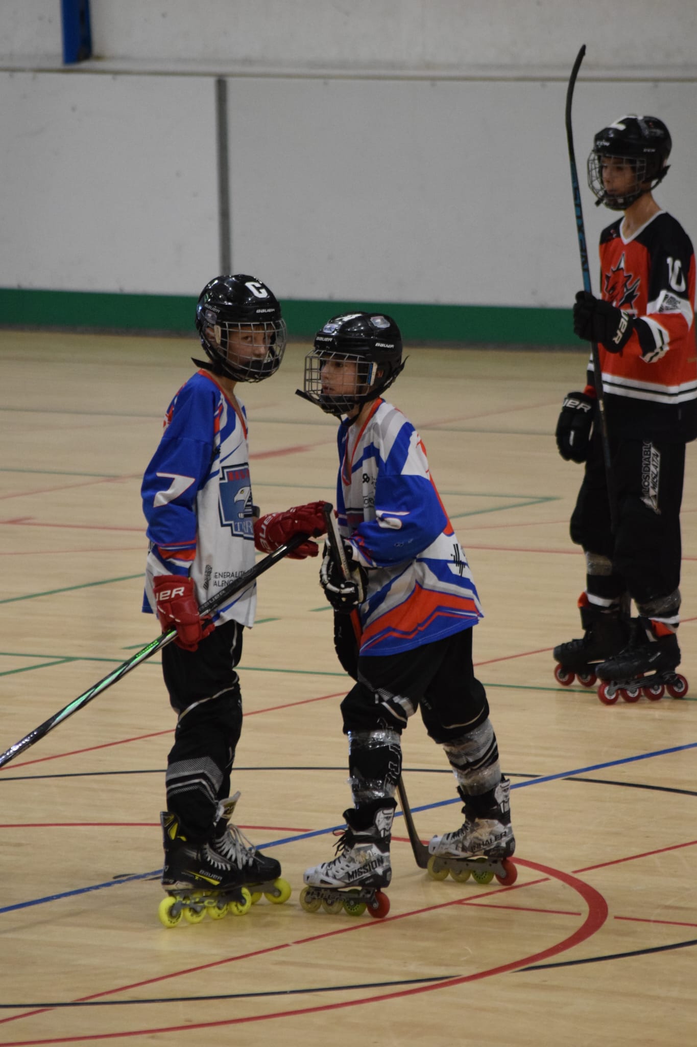 halcones25.jpeg