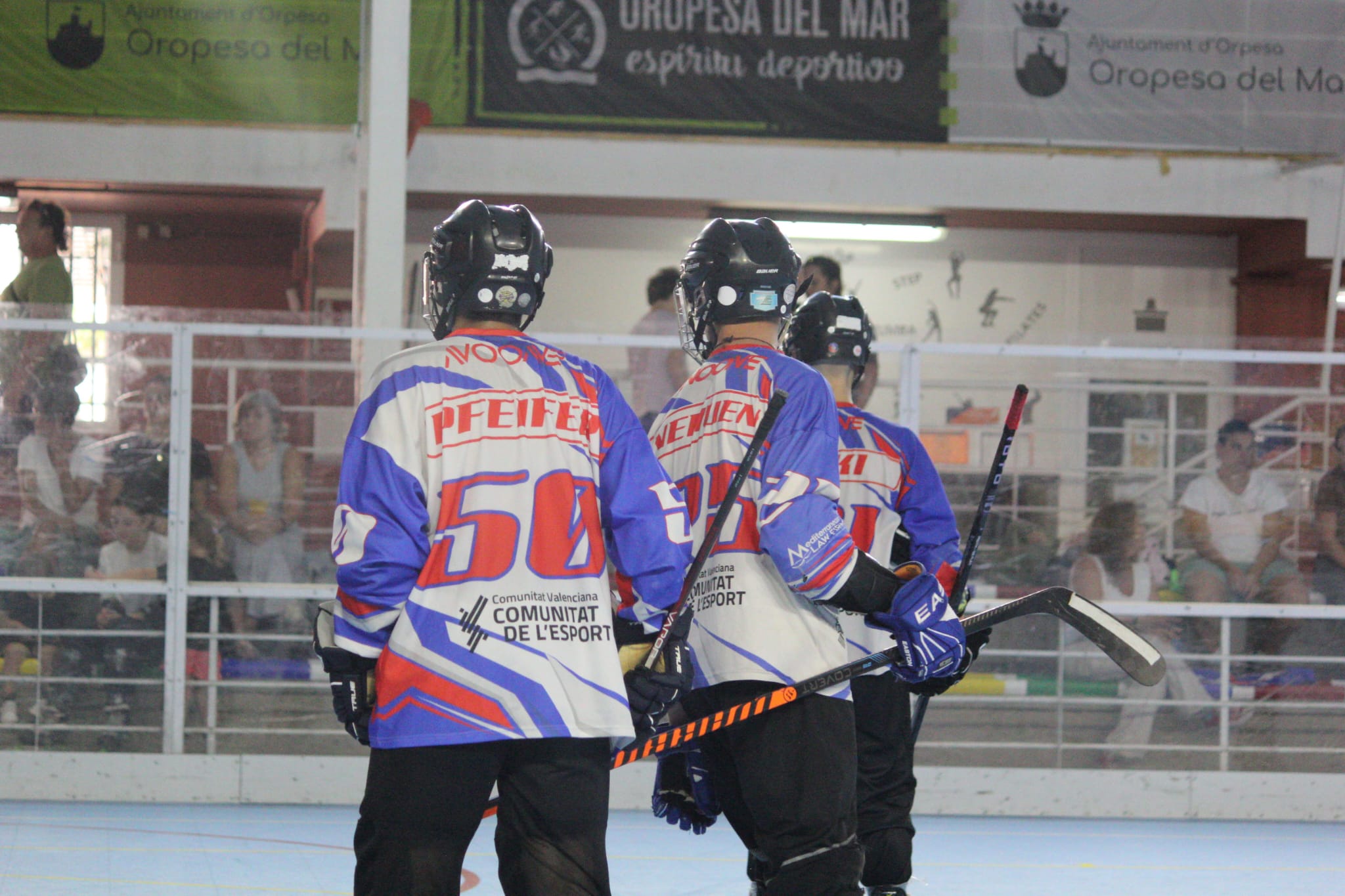 halcones26.jpeg