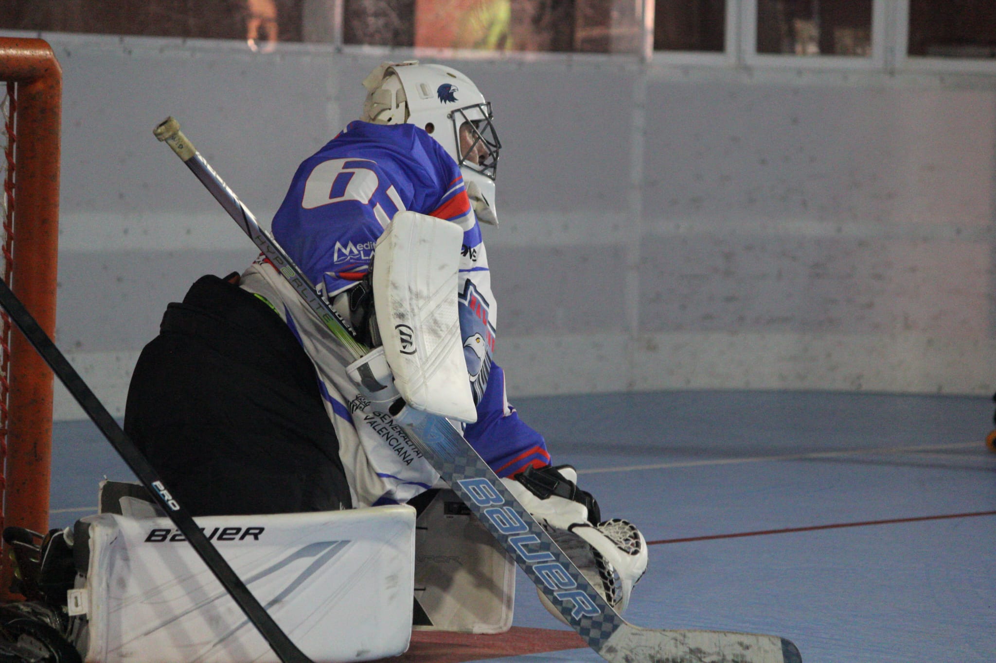 halcones27.jpeg