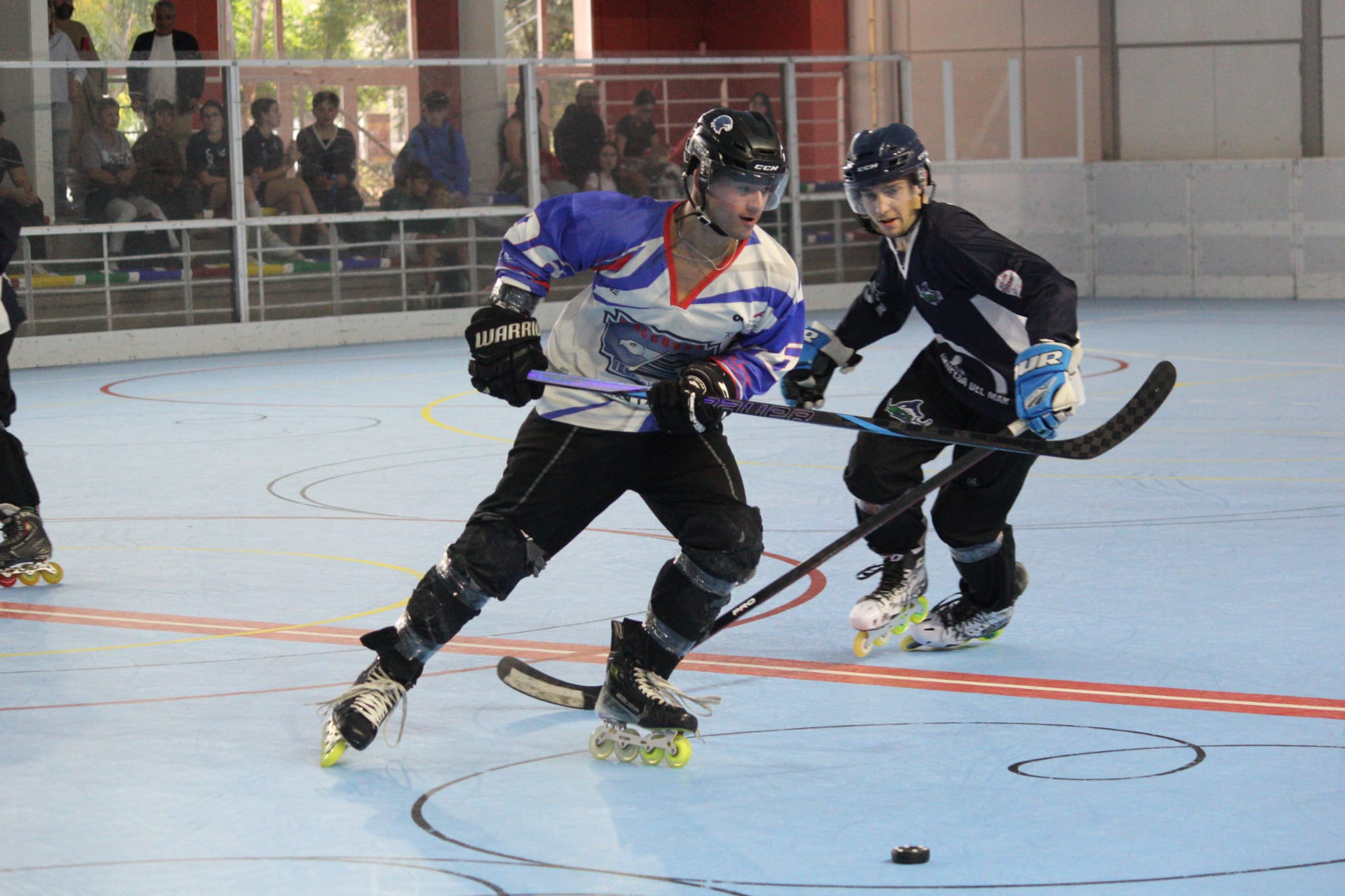 halcones28.jpeg