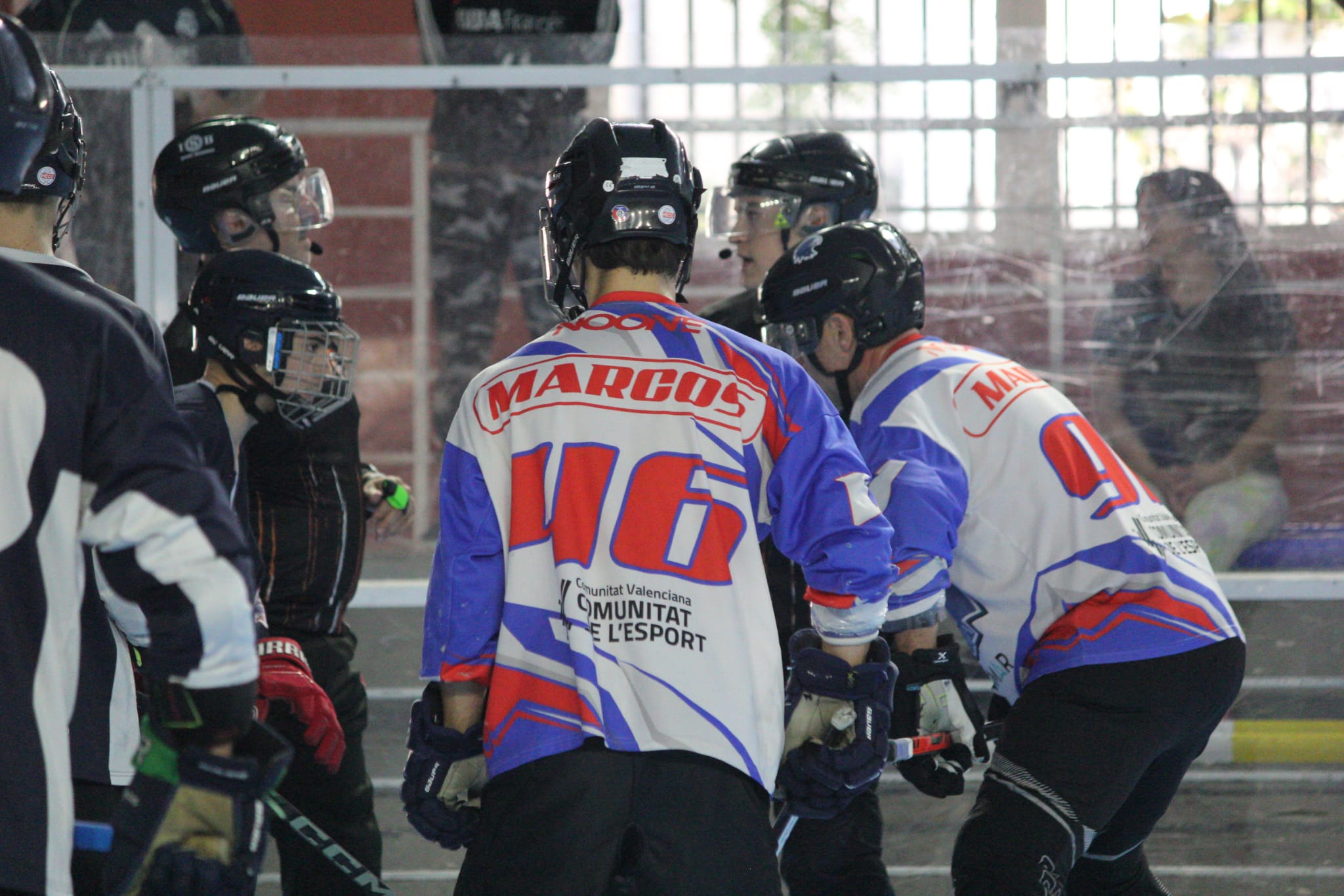 halcones29.jpeg