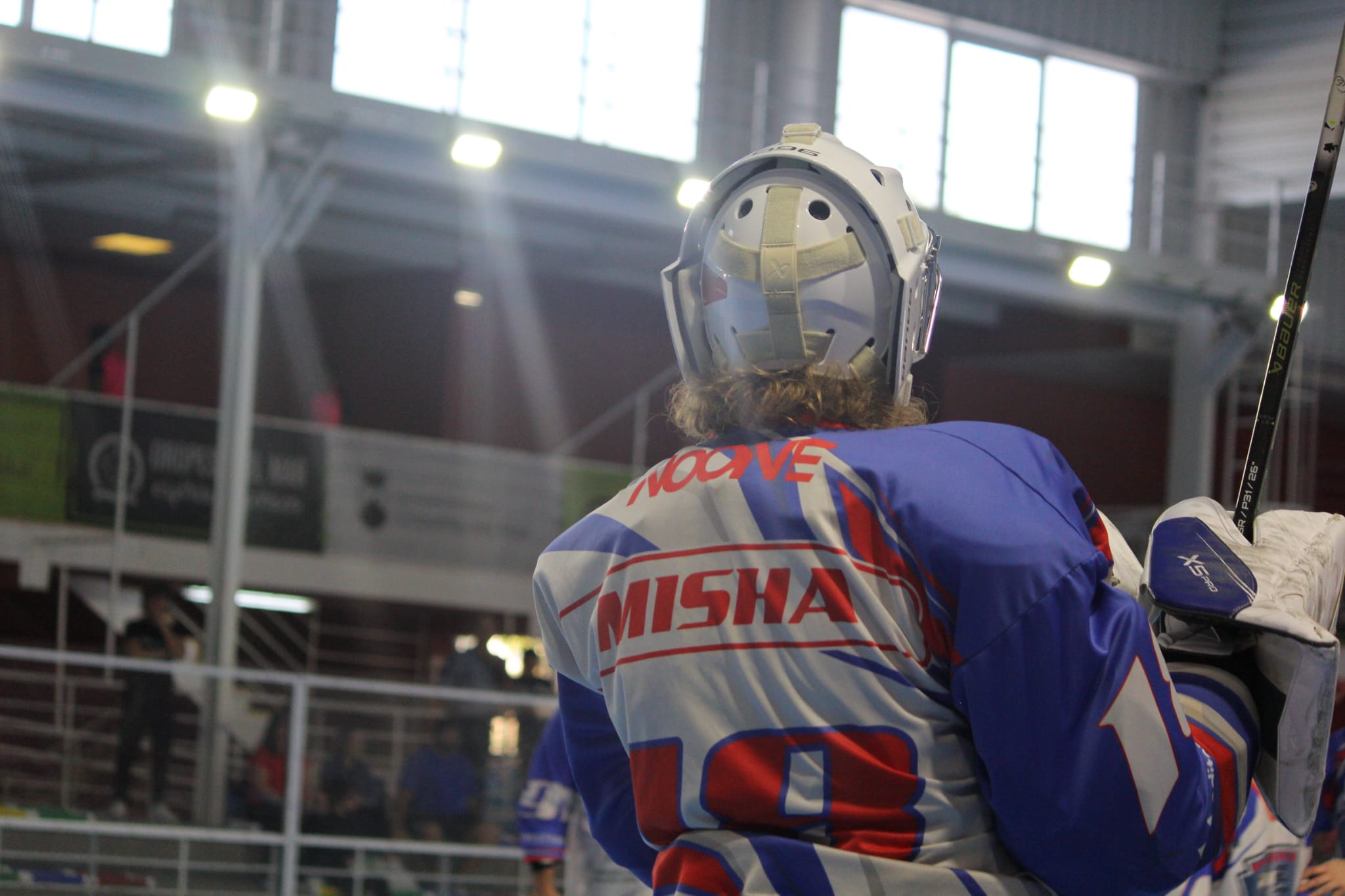 halcones31.jpeg