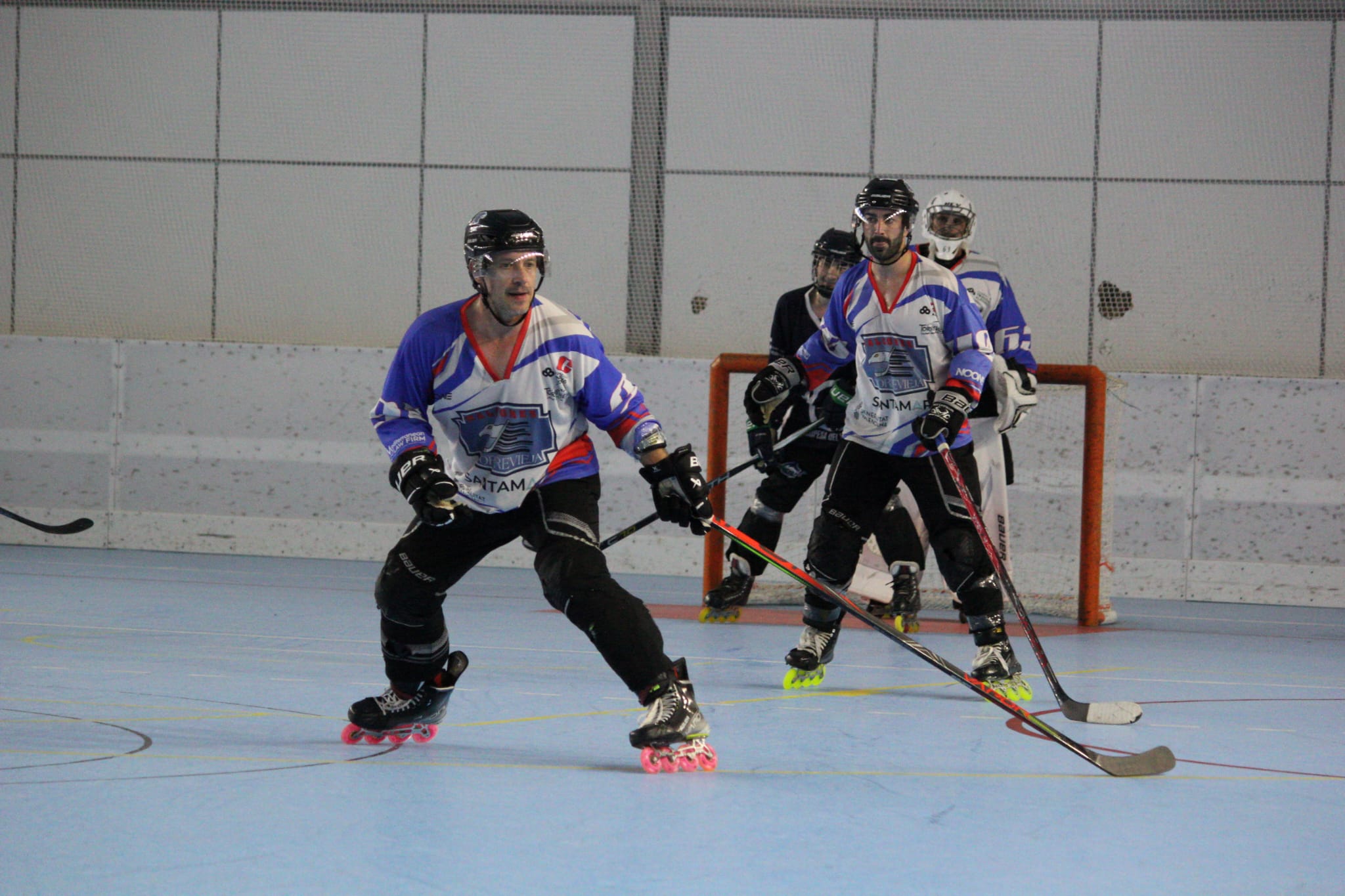 halcones32.jpeg