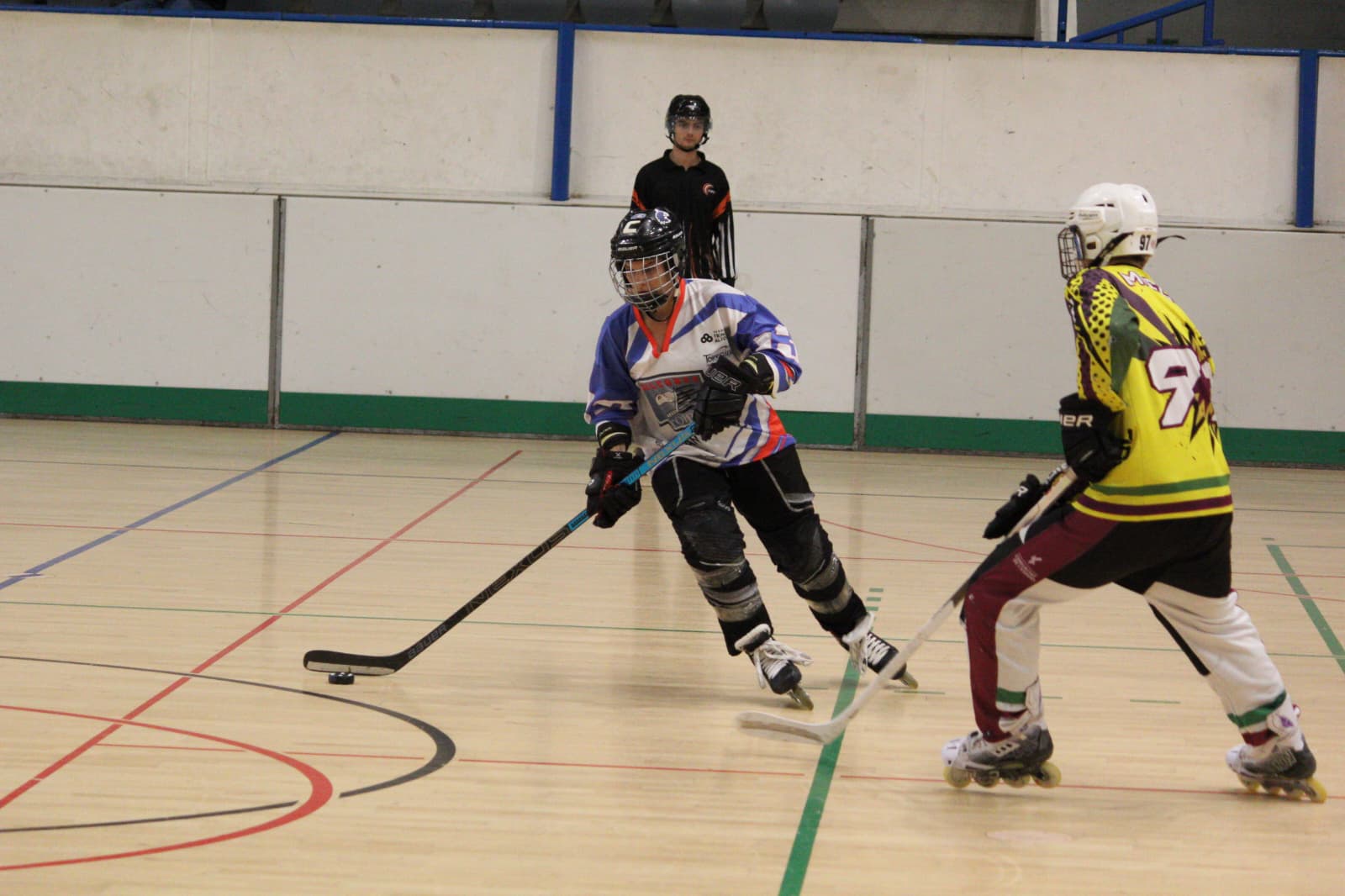 halcones4.jpeg