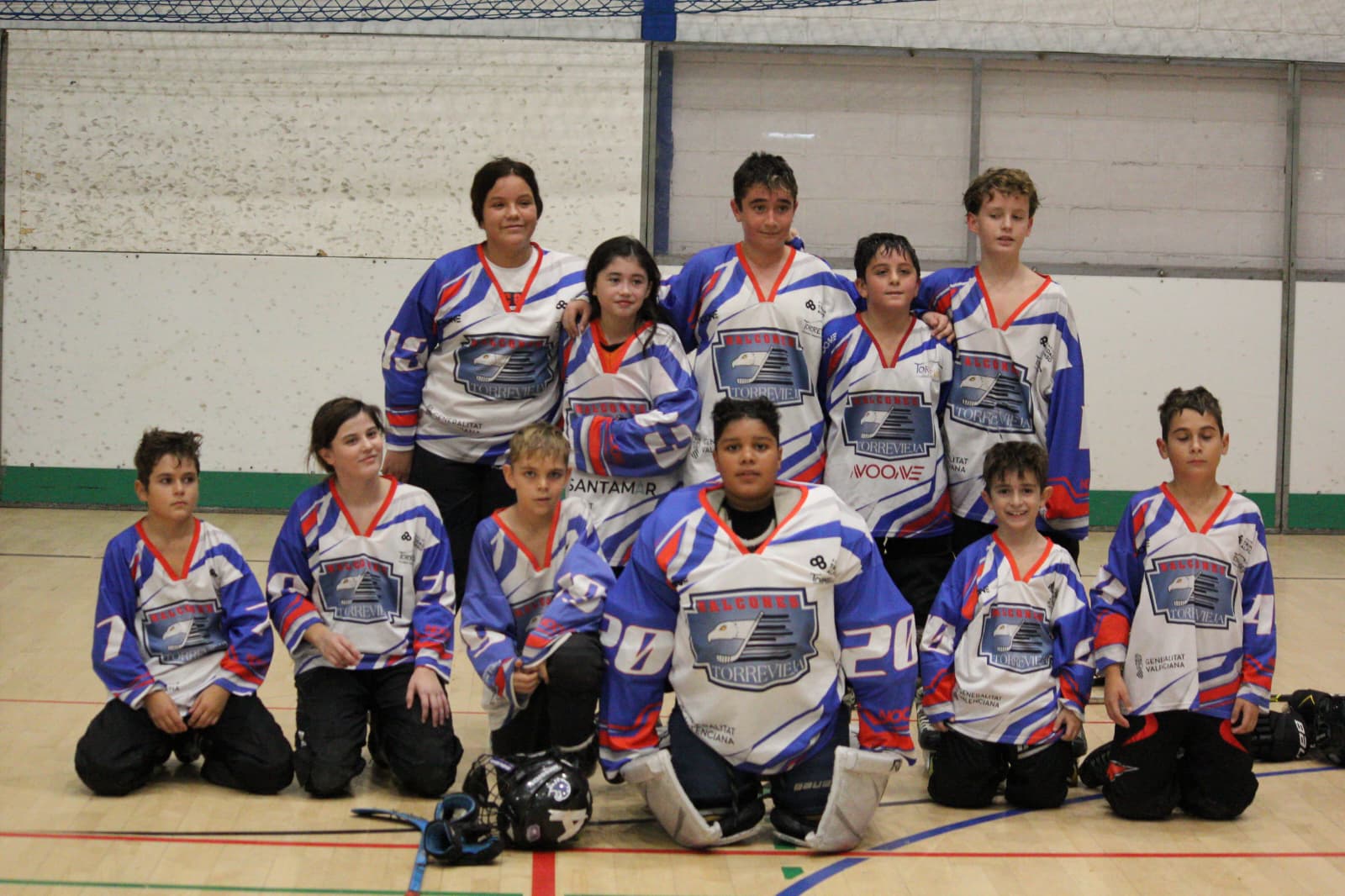 halcones8.jpeg