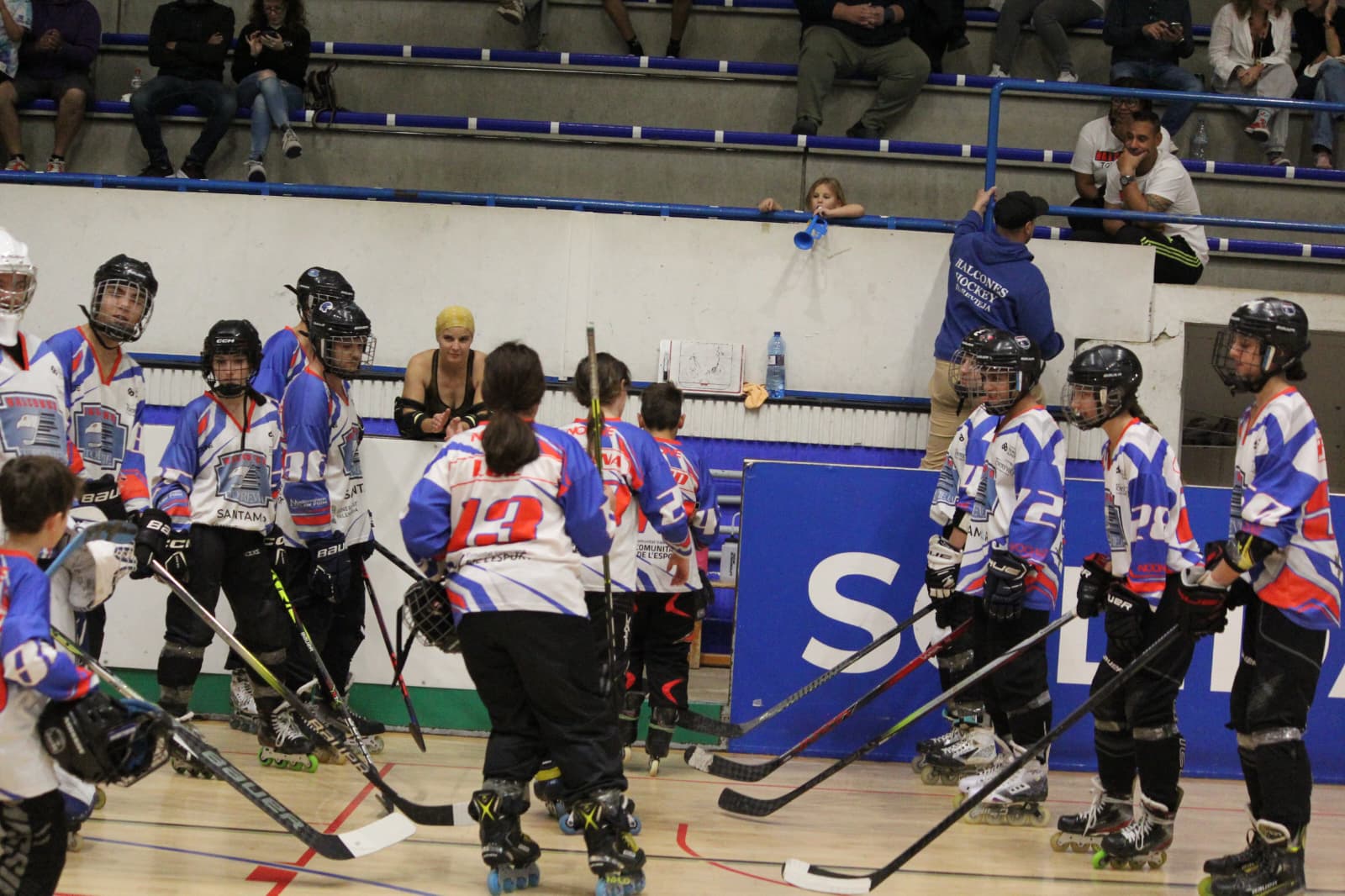halcones9.jpeg